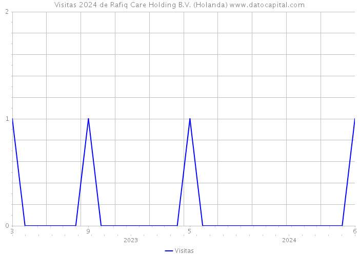 Visitas 2024 de Rafiq Care Holding B.V. (Holanda) 