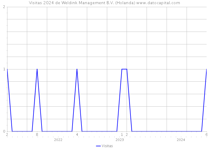 Visitas 2024 de Weldink Management B.V. (Holanda) 