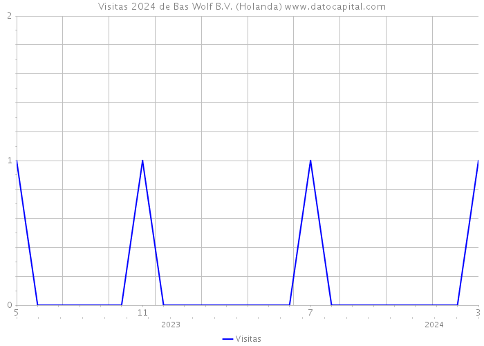 Visitas 2024 de Bas Wolf B.V. (Holanda) 