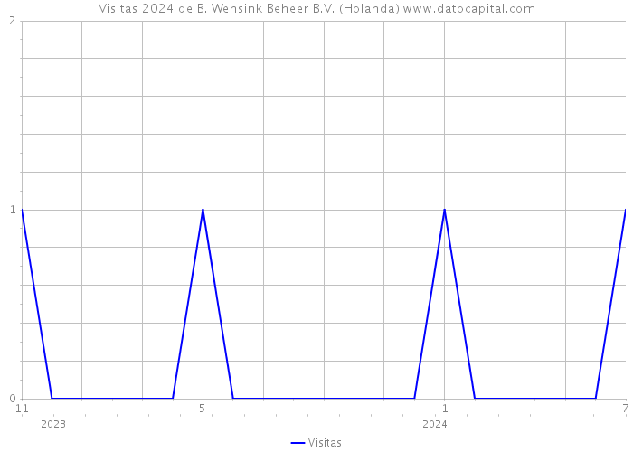 Visitas 2024 de B. Wensink Beheer B.V. (Holanda) 