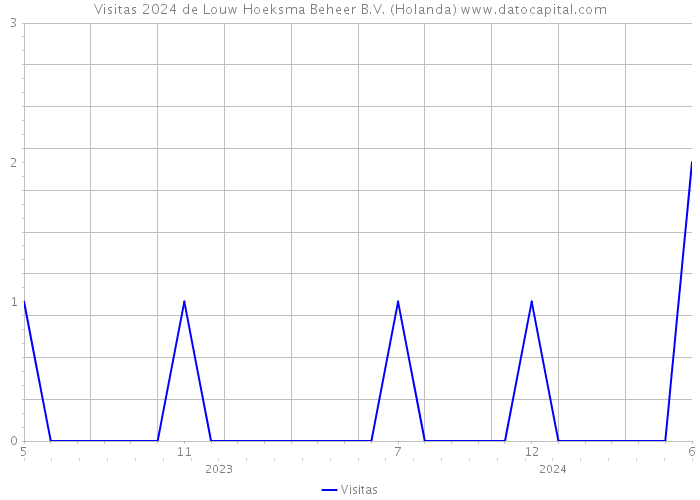 Visitas 2024 de Louw Hoeksma Beheer B.V. (Holanda) 