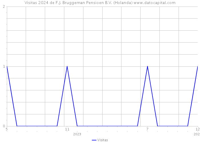 Visitas 2024 de F.J. Bruggeman Pensioen B.V. (Holanda) 