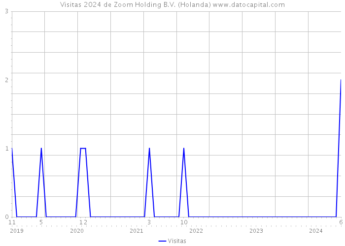 Visitas 2024 de Zoom Holding B.V. (Holanda) 