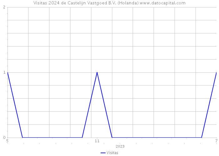 Visitas 2024 de Castelijn Vastgoed B.V. (Holanda) 