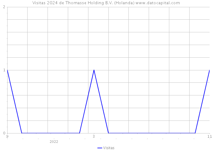 Visitas 2024 de Thomasse Holding B.V. (Holanda) 
