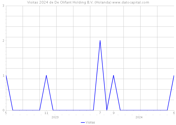 Visitas 2024 de De Olifant Holding B.V. (Holanda) 