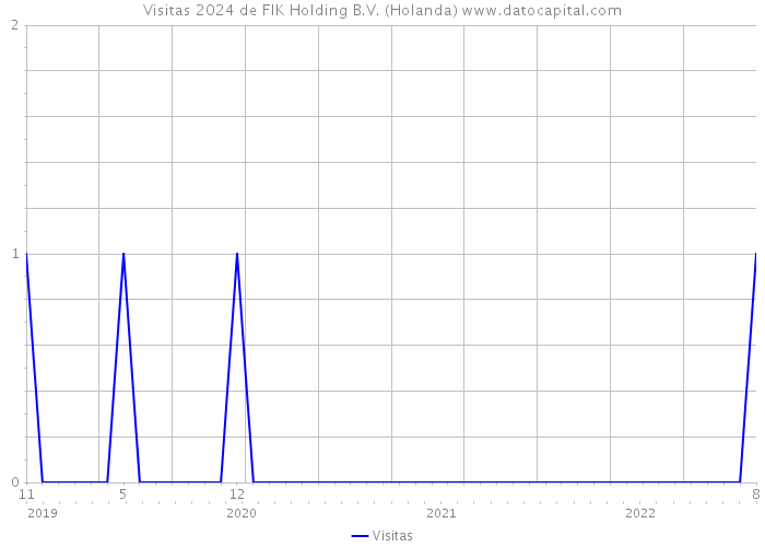 Visitas 2024 de FIK Holding B.V. (Holanda) 