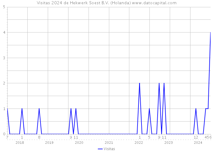 Visitas 2024 de Hekwerk Soest B.V. (Holanda) 