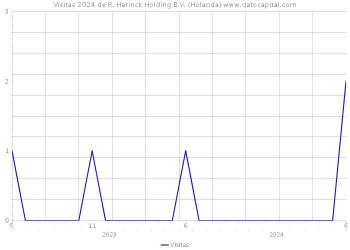 Visitas 2024 de R. Harinck Holding B.V. (Holanda) 