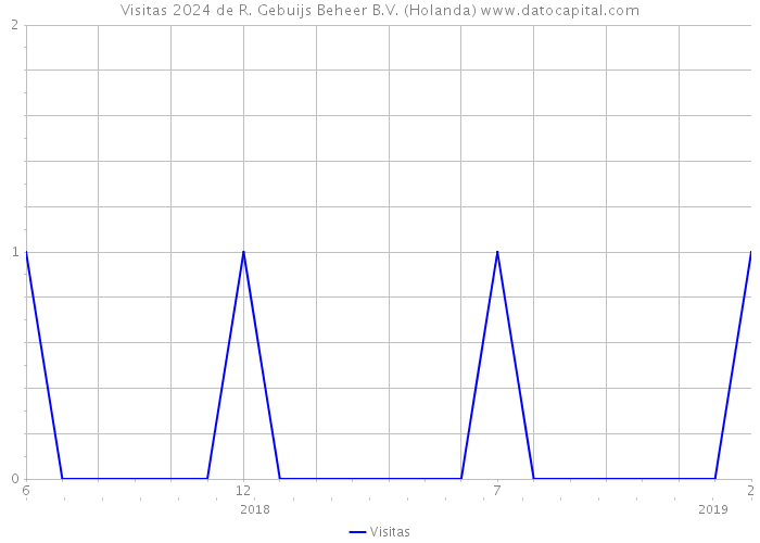 Visitas 2024 de R. Gebuijs Beheer B.V. (Holanda) 