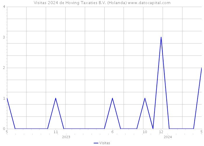 Visitas 2024 de Hoving Taxaties B.V. (Holanda) 