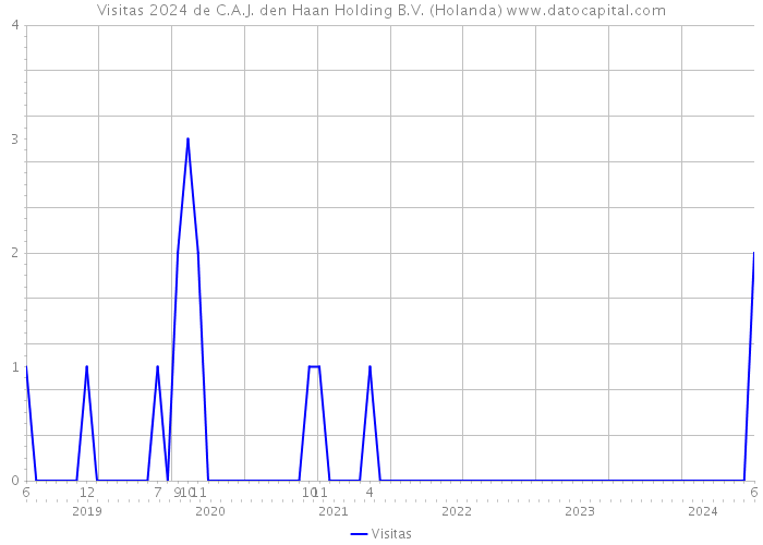 Visitas 2024 de C.A.J. den Haan Holding B.V. (Holanda) 