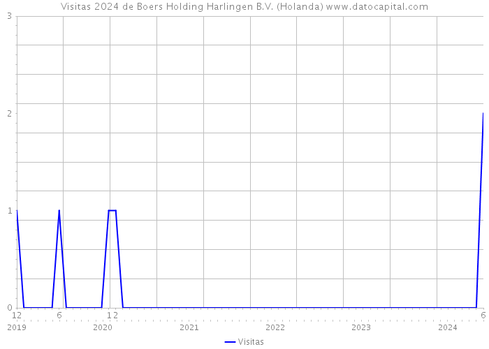 Visitas 2024 de Boers Holding Harlingen B.V. (Holanda) 