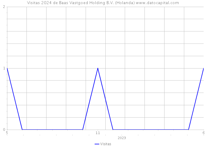 Visitas 2024 de Baas Vastgoed Holding B.V. (Holanda) 