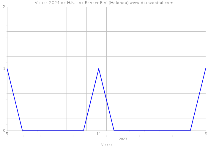 Visitas 2024 de H.N. Lok Beheer B.V. (Holanda) 