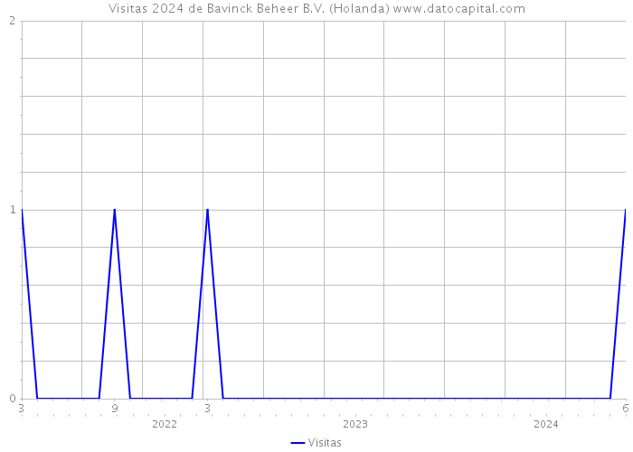 Visitas 2024 de Bavinck Beheer B.V. (Holanda) 