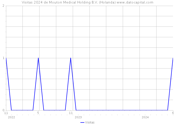 Visitas 2024 de Mouton Medical Holding B.V. (Holanda) 