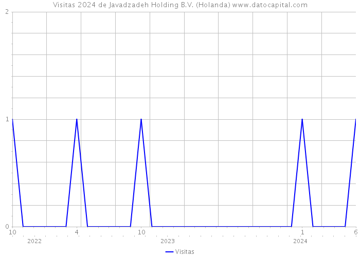 Visitas 2024 de Javadzadeh Holding B.V. (Holanda) 