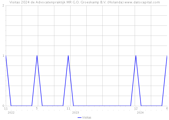 Visitas 2024 de Advocatenpraktijk MR G.O. Groeskamp B.V. (Holanda) 