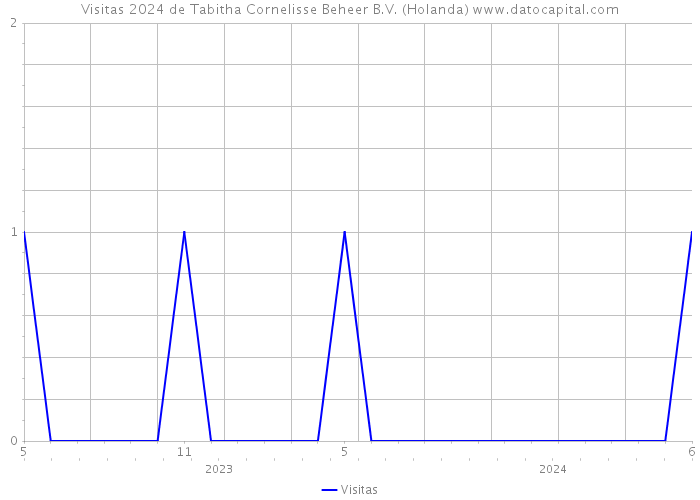 Visitas 2024 de Tabitha Cornelisse Beheer B.V. (Holanda) 