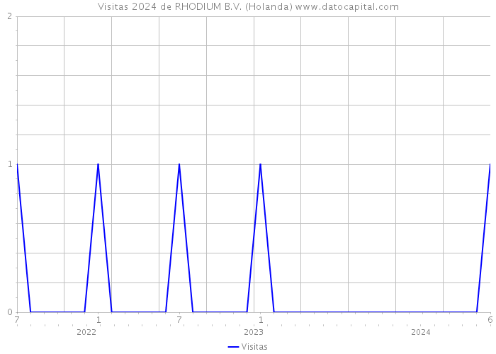 Visitas 2024 de RHODIUM B.V. (Holanda) 