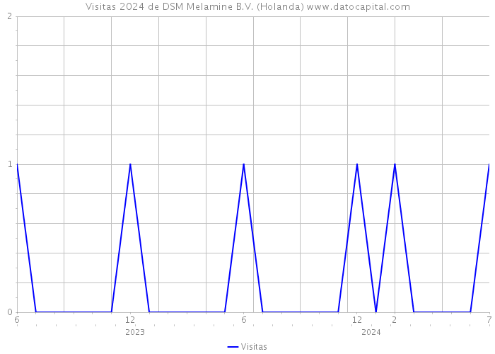 Visitas 2024 de DSM Melamine B.V. (Holanda) 