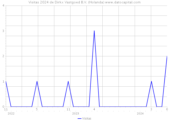 Visitas 2024 de Dirkx Vastgoed B.V. (Holanda) 