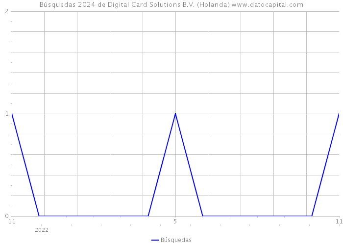 Búsquedas 2024 de Digital Card Solutions B.V. (Holanda) 