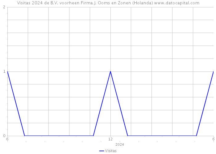 Visitas 2024 de B.V. voorheen Firma J. Ooms en Zonen (Holanda) 