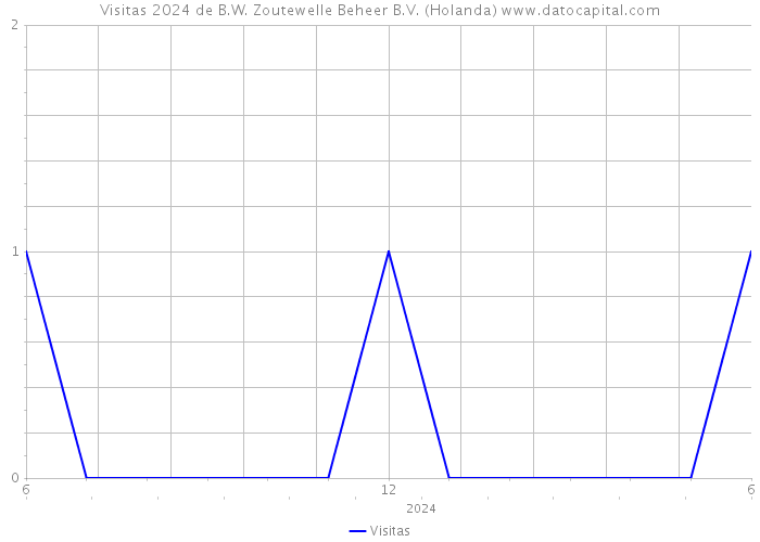 Visitas 2024 de B.W. Zoutewelle Beheer B.V. (Holanda) 