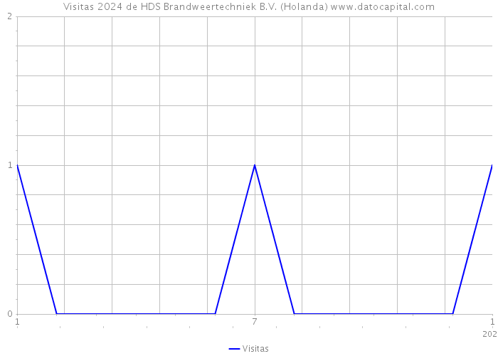 Visitas 2024 de HDS Brandweertechniek B.V. (Holanda) 