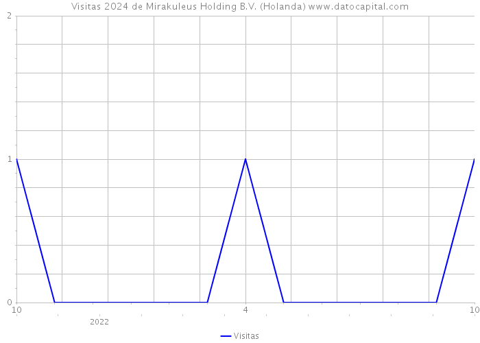 Visitas 2024 de Mirakuleus Holding B.V. (Holanda) 