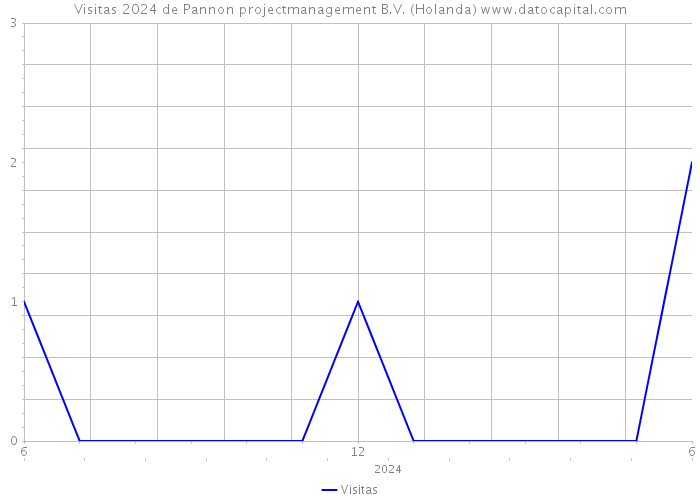 Visitas 2024 de Pannon projectmanagement B.V. (Holanda) 
