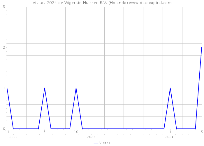 Visitas 2024 de Wigerkin Huissen B.V. (Holanda) 