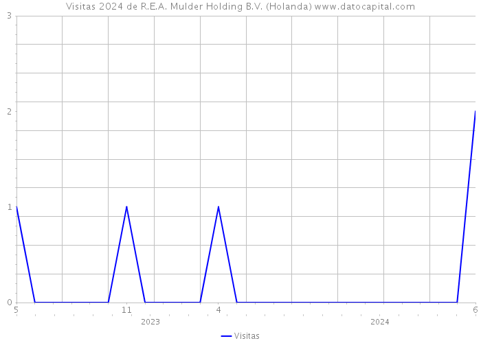 Visitas 2024 de R.E.A. Mulder Holding B.V. (Holanda) 