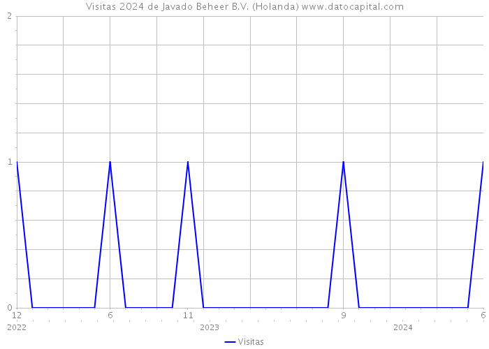 Visitas 2024 de Javado Beheer B.V. (Holanda) 