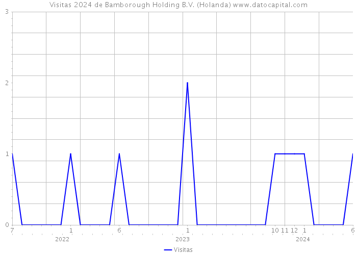 Visitas 2024 de Bamborough Holding B.V. (Holanda) 