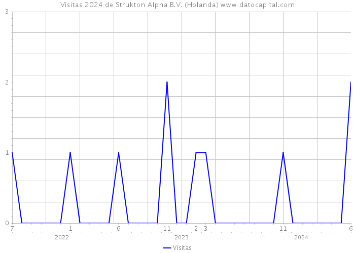 Visitas 2024 de Strukton Alpha B.V. (Holanda) 