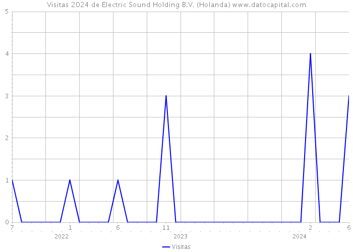 Visitas 2024 de Electric Sound Holding B.V. (Holanda) 