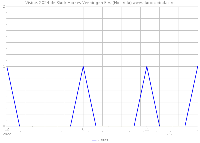 Visitas 2024 de Black Horses Veeningen B.V. (Holanda) 