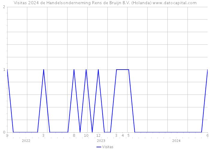 Visitas 2024 de Handelsonderneming Rens de Bruijn B.V. (Holanda) 