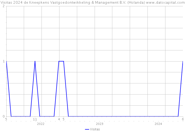 Visitas 2024 de Kneepkens Vastgoedontwikkeling & Management B.V. (Holanda) 