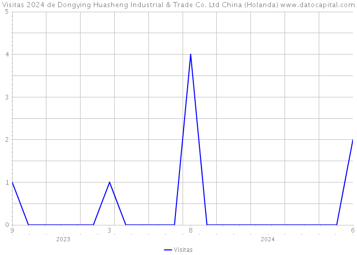 Visitas 2024 de Dongying Huasheng Industrial & Trade Co. Ltd China (Holanda) 