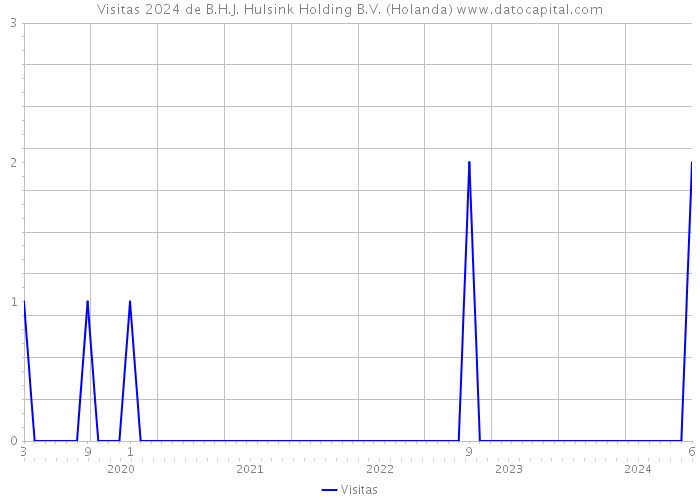 Visitas 2024 de B.H.J. Hulsink Holding B.V. (Holanda) 