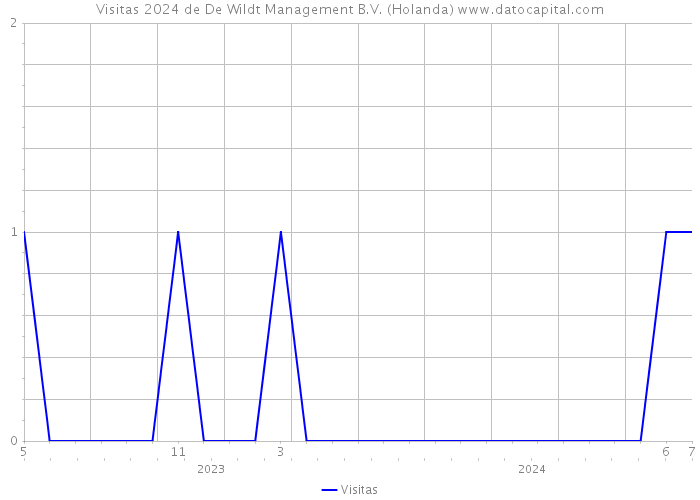 Visitas 2024 de De Wildt Management B.V. (Holanda) 