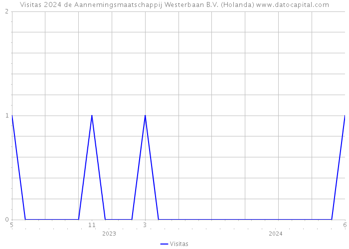 Visitas 2024 de Aannemingsmaatschappij Westerbaan B.V. (Holanda) 