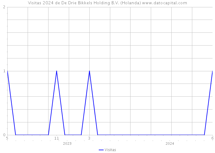Visitas 2024 de De Drie Bikkels Holding B.V. (Holanda) 