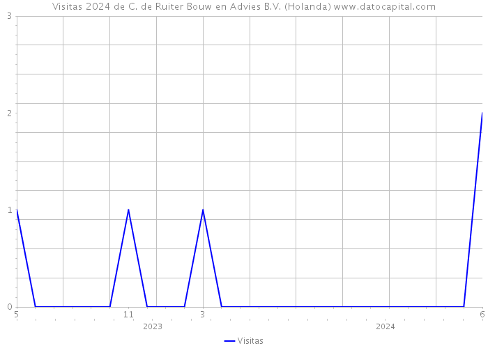 Visitas 2024 de C. de Ruiter Bouw en Advies B.V. (Holanda) 