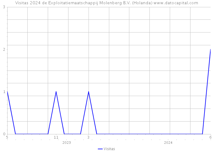 Visitas 2024 de Exploitatiemaatschappij Molenberg B.V. (Holanda) 