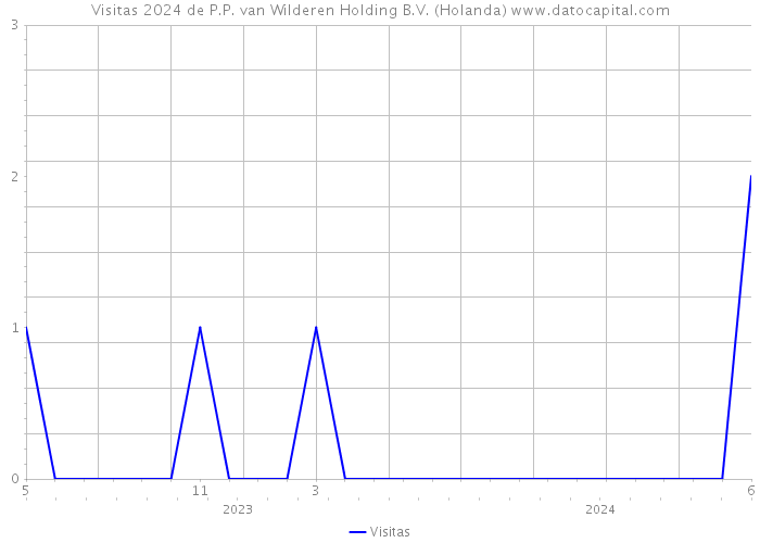 Visitas 2024 de P.P. van Wilderen Holding B.V. (Holanda) 